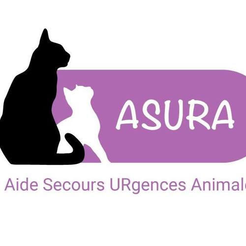 association Asura