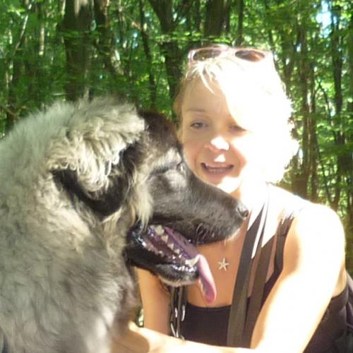 Comportementaliste et éducateur - Regard de Chien