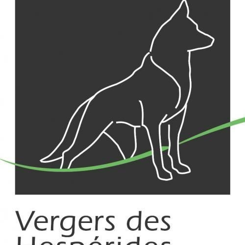 Elevage canin des Vergers des Hespérides