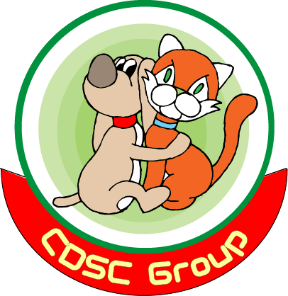CDSC Group