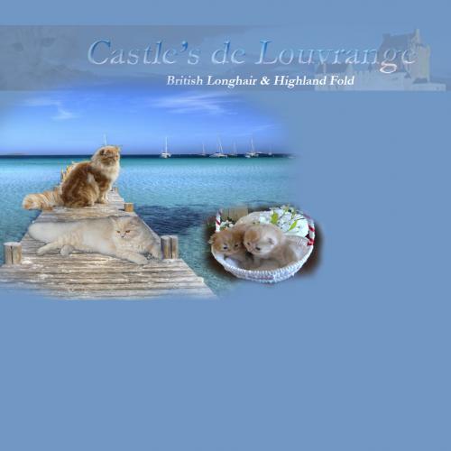 castle's de louvrange