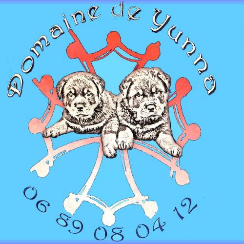 passion sélection amour