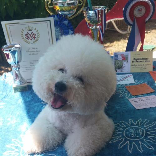 Des Perles d'Houvelin