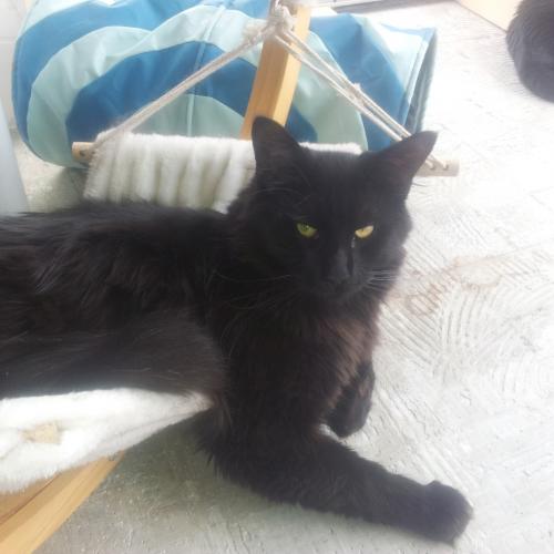 Elevage Du Mas Des Aristos