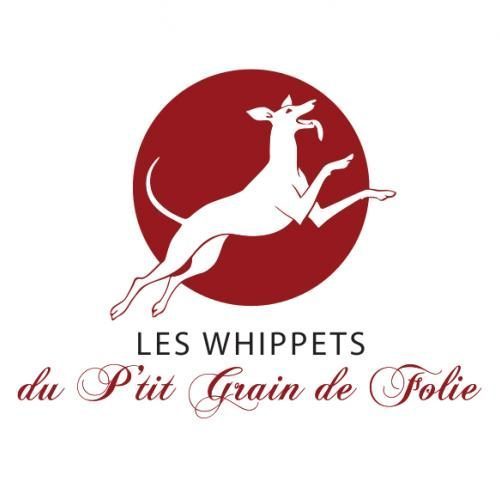 Elevage familial de Whippet situé en Bourgogne Sud