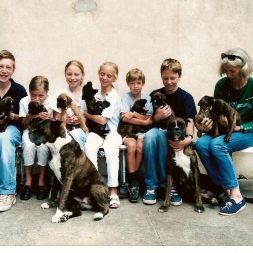 Elevage du grand Renon