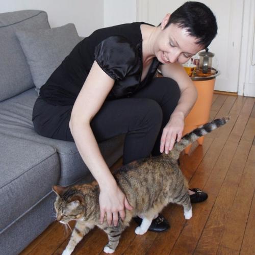 Visites pour chats à domicile (pro)