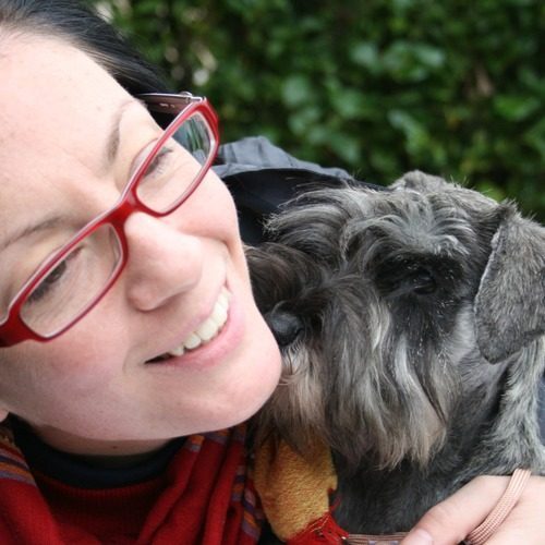 Schnauzers nains de la forêt enchantée