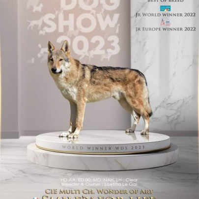 Elevage wonder of art