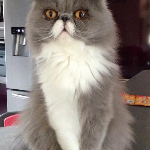 Chatterie de La Source de Lerd