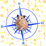 -LesHamstersDeLetoileDuNord*
