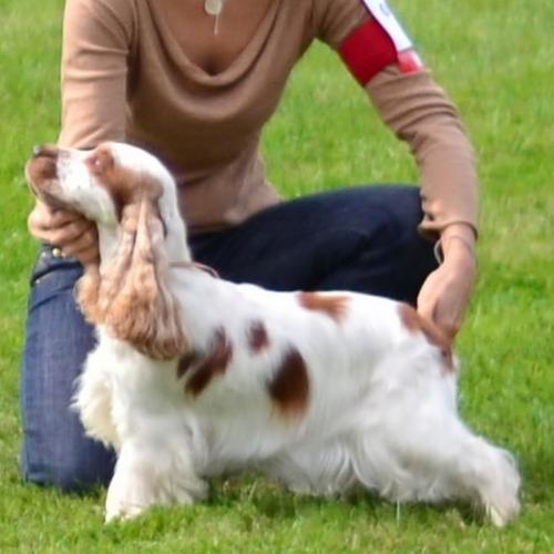 Elevage de La Taquinière