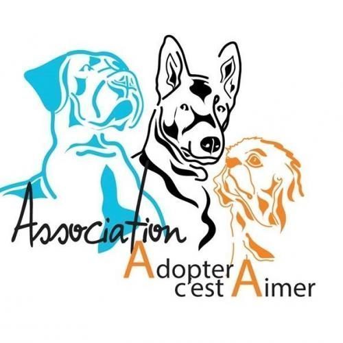 Association adopter c'est aimer