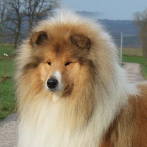 Lowlands Green Valley