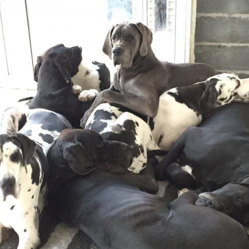 Le domaine du jardin d'edeb