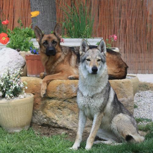 Elevage des Plaines de Meyrans