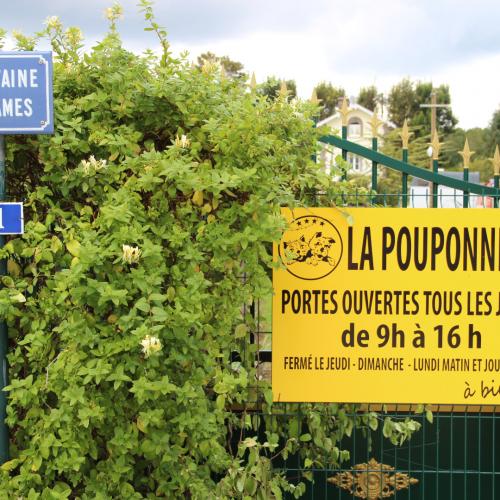 Faites confiance à un professionnel depuis 26 ans