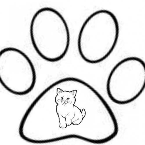 PENSION GARDE CHATS LES PETITS MIAOUS