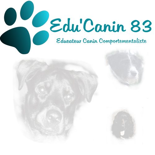 Edu'Canin83 - Educateur comportementaliste - 83