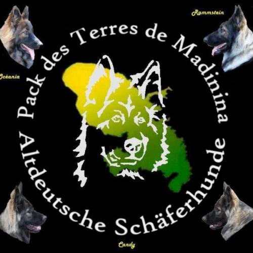 Elevage du Pack des Terres de Madinina