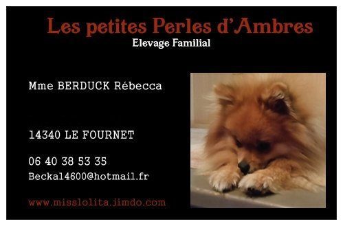 Les petites perles d'Ambres
