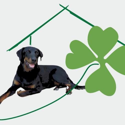 pension pour chien et chat