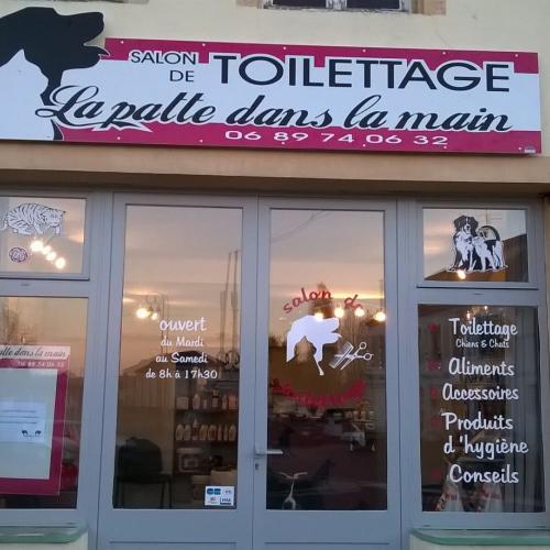 La patte dans la main