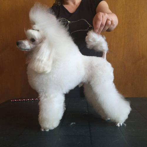 Eleveur : des nuits de nacre