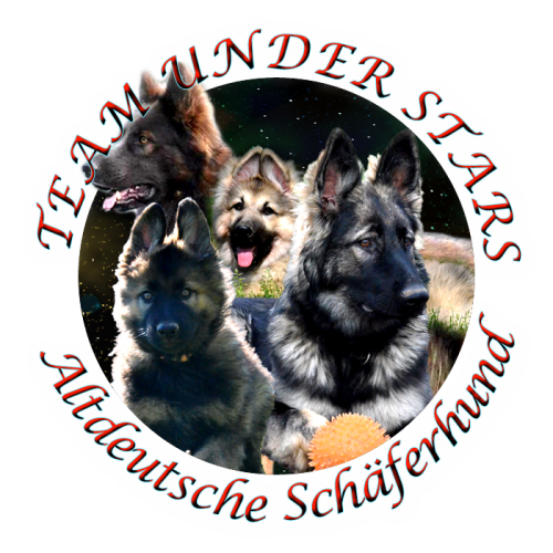 Team Under Stars - Berger Allemand Ancien Type