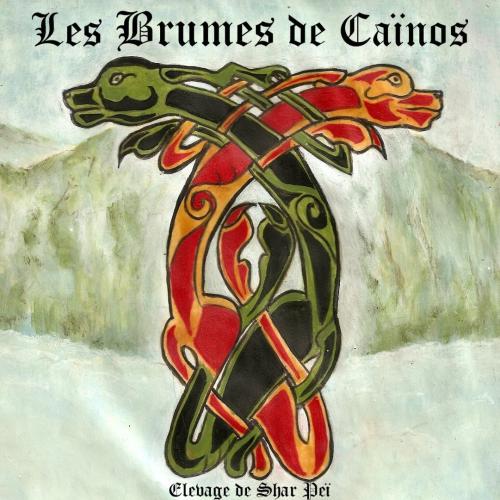 Elevage de Shar pei LOF