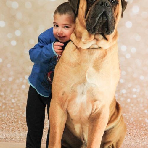 élevage Au Temps Des Spartiates