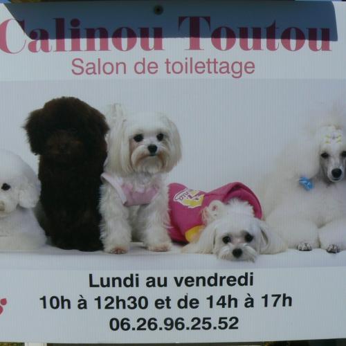 toiletteur calinou toutou