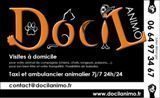 Services Animaliers Docil'Animo