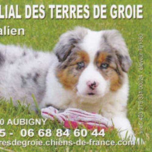 élevage des Terres de Groie