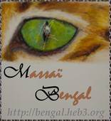 Massai-bengal