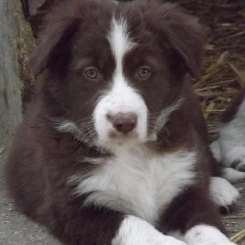 Les gardiens du val des vignes