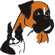 Mavikaflo's Boxer et Boston
