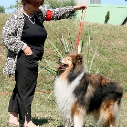 Eleveur : Elevage de la Lune Argentée