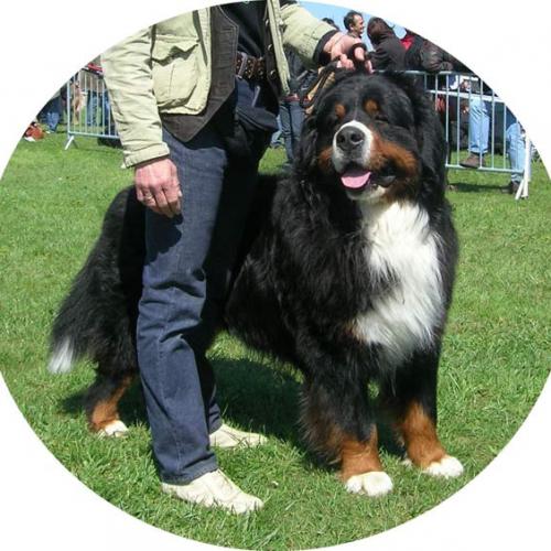 Eleveur : EURL LES EAUX VIVES