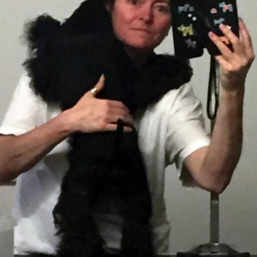 Schnauzer Nain noir par passion !