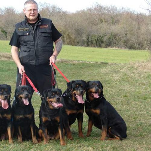 Eleveur : la vallée des trois rivières