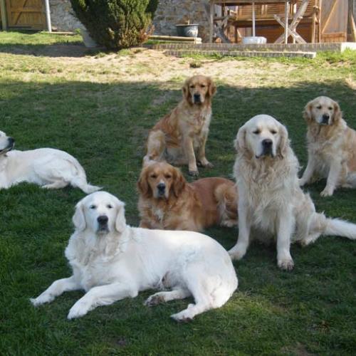 Élevage : de la vallée morgane