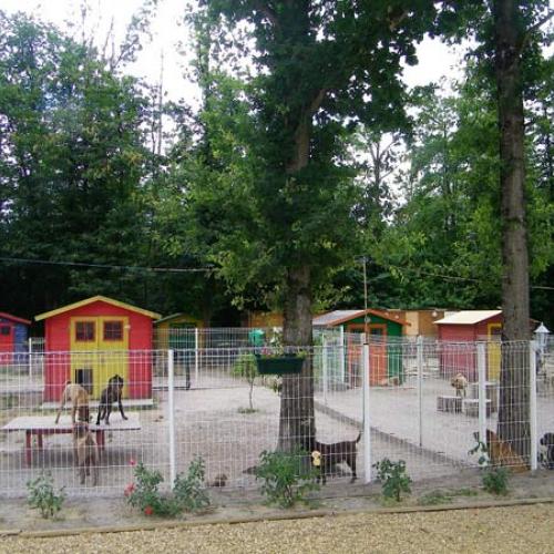 Eleveur : l'empire de siam et du royaume du siam