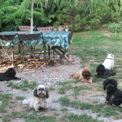 Eleveur : des brumes d'aurore