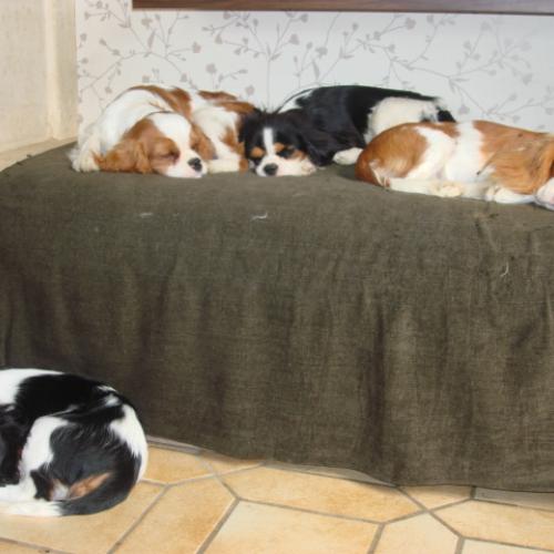 Eleveur : du jura des eaux vives