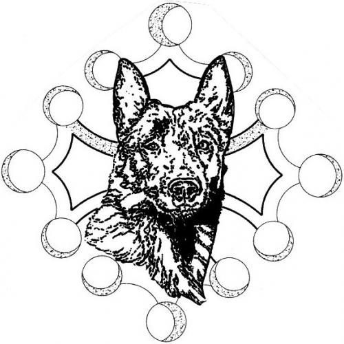 Eleveur : Elevage de malinois