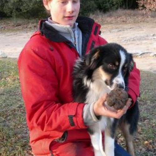 Eleveur : elevage de la lauze aux micoucouliers