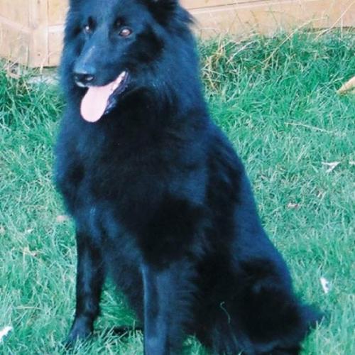 Eleveur : du verger de l'aubretière