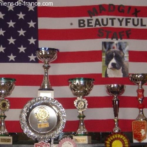 Eleveur : MADGIX BEAUTYFUL STAFF