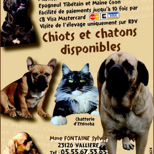 Eleveur : Du Temple Des Vestales